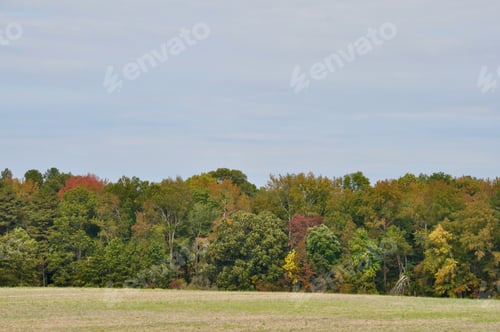 Preview: Beautiful fall colors.