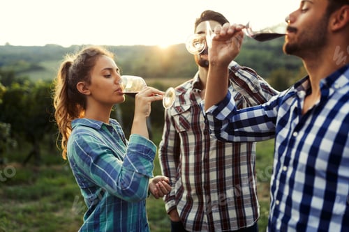 Preview: Picture of people tasting red wine in vineyard