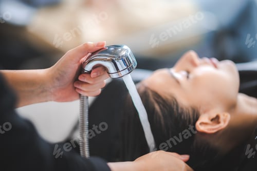 Preview: Woman Getting Hair Washed in Beauty Salon