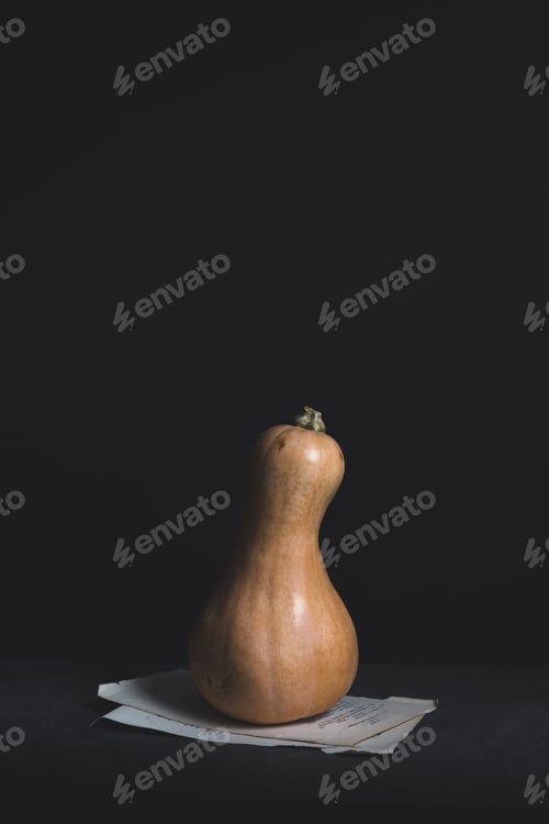 Preview: Butternut Squash Isolated against Black Background