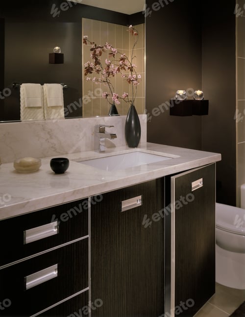 Preview: 49202,Luxury Bathroom