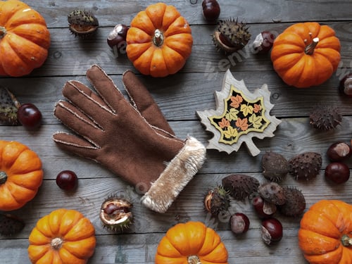 Preview: Autumn Pumpkins and Gloves on Wooden Table