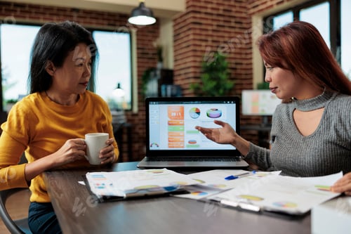 Preview: Businesswomen collaborating together at company project
