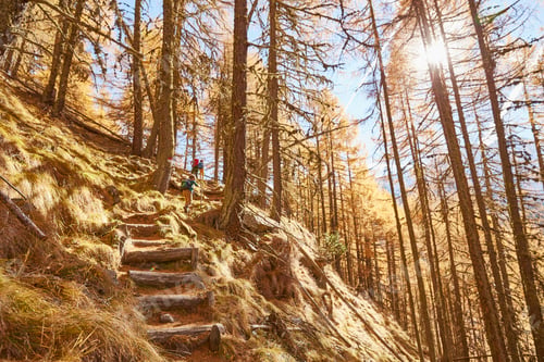 Preview: Family hiking, rear view, low angle view, Schnalstal, South Tyrol, Italy