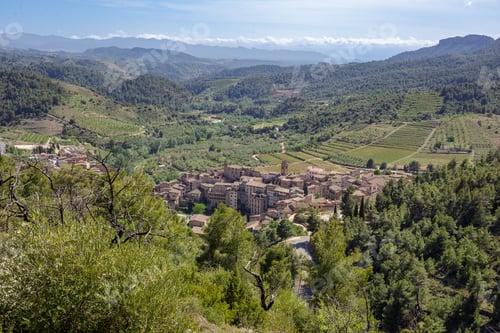 Preview: Views of olive trees surrounding Vilella Baixa village in Priorat area, Catalonia, Spain