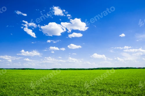 Preview: Green field and the blue sky