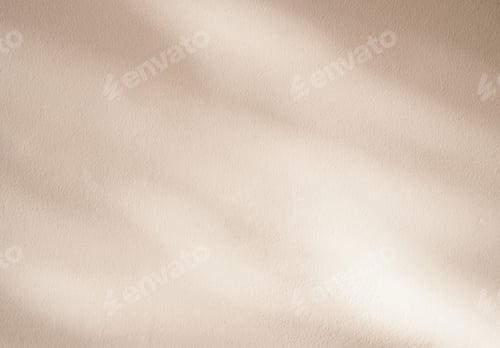 Preview: Shadow and light on wall concrete background for Autumn banner,Studio room with nature sunlight