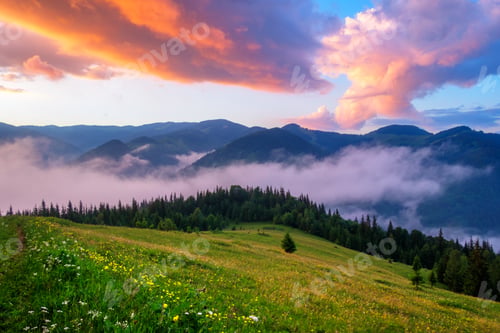 Preview: Picturesque summer landscape with colorful sunrise