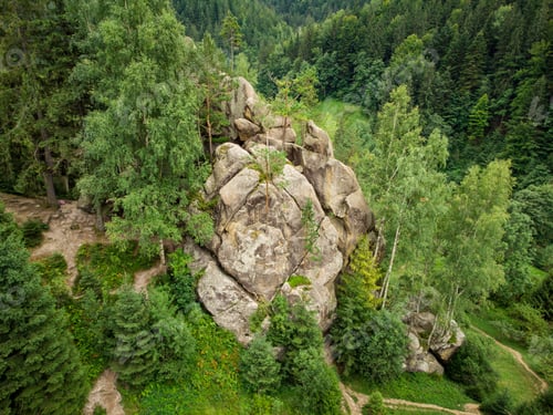 Preview: aerial view of a picturesque rock located among the spruce forest in the mountains