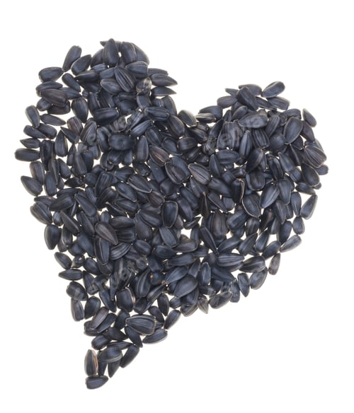 Black Sunflower Seeds Forming a Heart on White