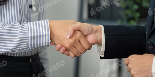Preview: Handshake between professionals, symbolizing successful collaboration in financial planning.