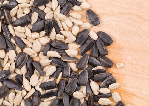 Preview: Bunch of sunflower seeds close up.