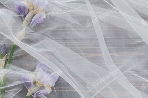 Preview: Beautiful tender iris flower under tulle fabric on dark wood, copy space. Spring Aesthetics