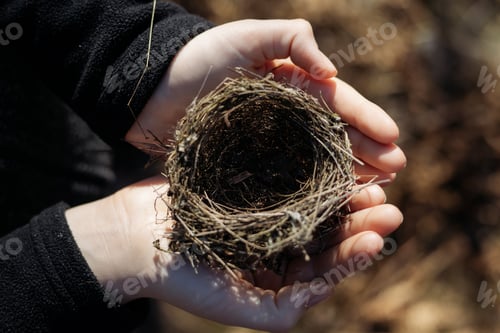 Preview: Abandoned small bird nest.