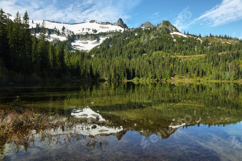 Preview: Scenic view of reflection lake in Mount Rainier