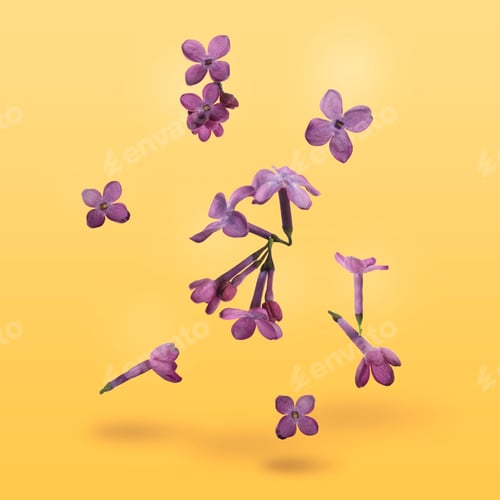 Preview: Beautiful lilac flowers falling on light orange background
