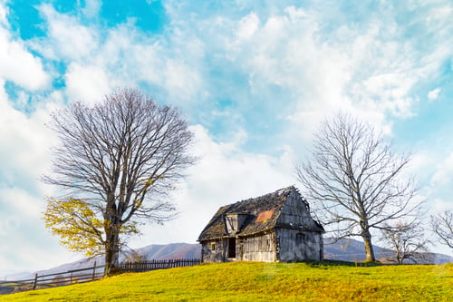 Preview: Abandoned wooden house surrounded by bare trees in highland