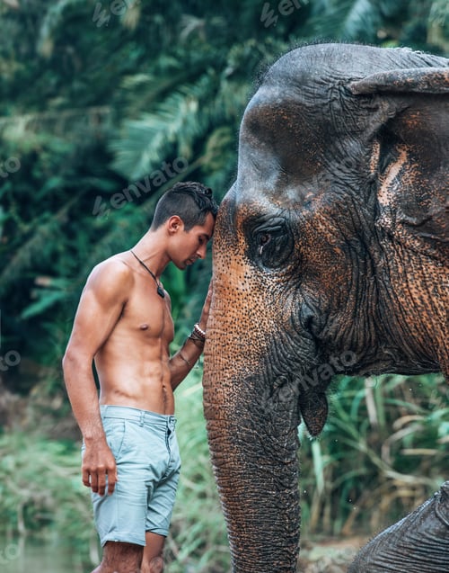 Preview: Elephant Lovin