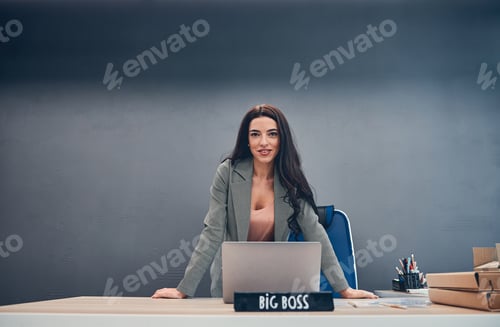 Preview: Happy female posing at table with laptop
