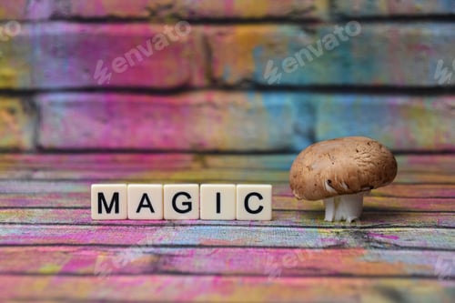 Preview: magic mushroom