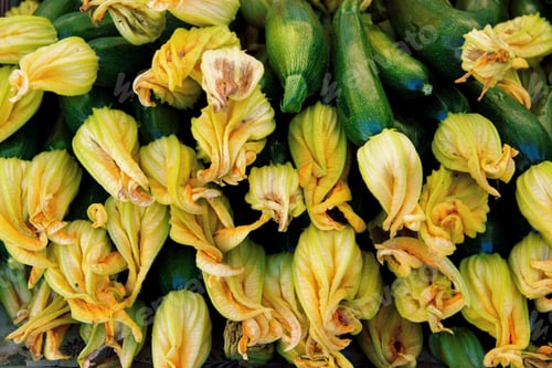 Preview: Young Zucchini With Flowers on a farmers market