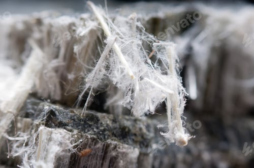 Preview: asbestos chrysotile fibers