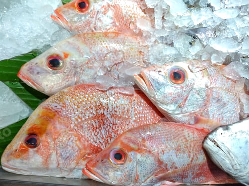 Fresh Red Snapper on Ice with Banana Leaf