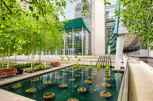 Preview: A city square in Seattle, a plaza with trees and water pool with plants.