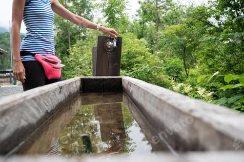 Preview: Wooden trough with water in green nature