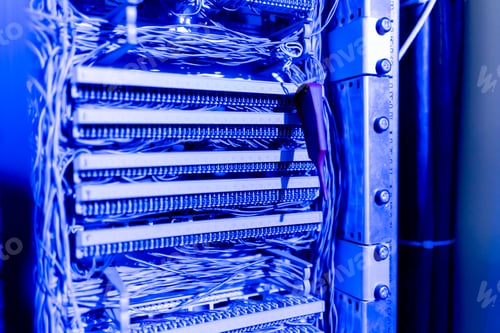 Preview: a bunch of patch network cables sorted in a rack cabinet leading from a patch panel in a server rack