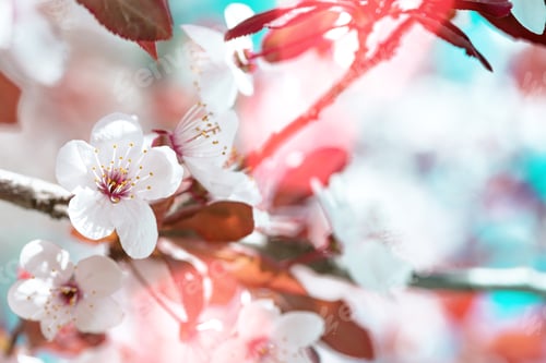 Preview: tree branch with buds background