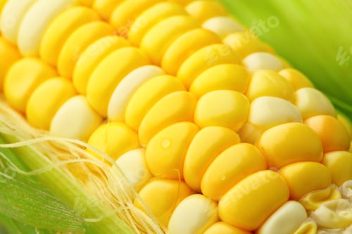 Preview: corn cob with green leaves