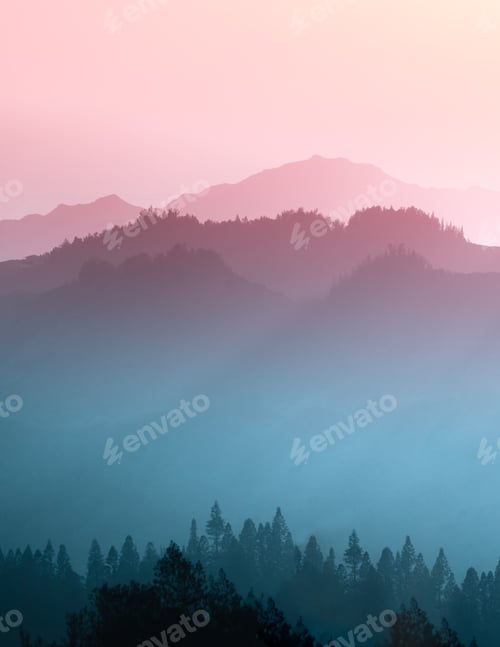 Preview: Vertical shot of a foggy forest on pink sunset background