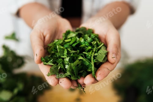 Preview: Female hands with handful of chopped coriander leaves