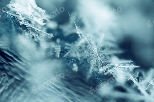 Preview: Macro shot of beautiful snowflakes