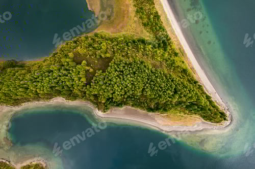 Preview: Seashore with trees near sea