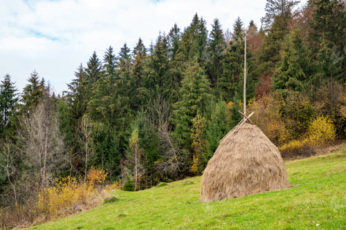 Preview: A large number of haystacks in a green meadow with cloudy weather