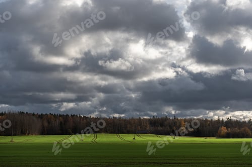 Preview: Dramatic sky with dark rain clouds over green agricultural field with tractor tracks in autumn land