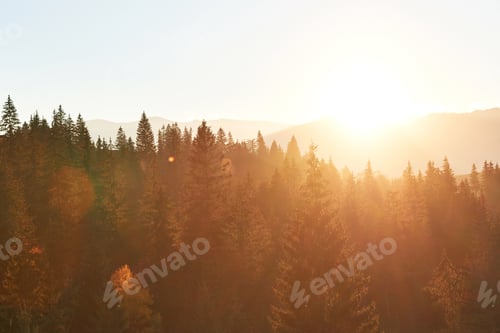 Preview: Beautiful autumn morning on the view point above the deep forest valley in Carpathians, Ukraine