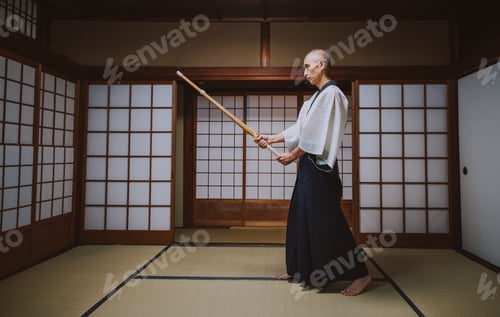 Preview: Senior martial art master in his dojo