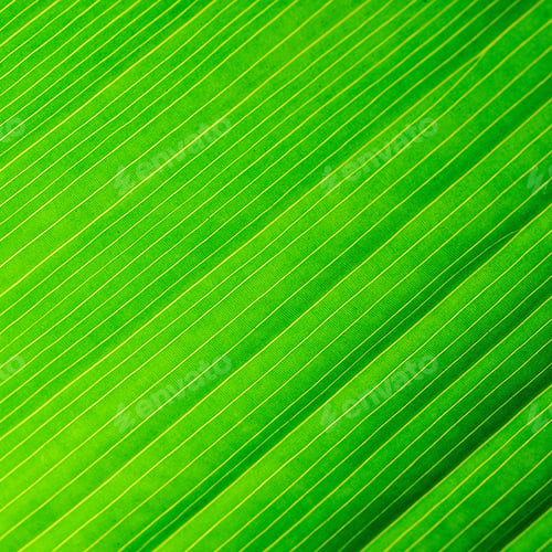 Preview: leaf abstract