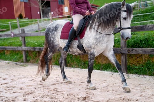 Preview: Unrecognizable Side View of Horse Riding in Rustic Arena