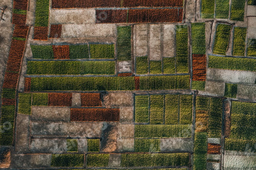 Preview: Aerial Drone Photo of Seaweed Farms in Nusa Lembongan Ceningan Bali Indonesia
