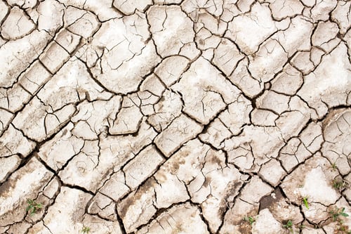 Preview: Cracked ground texture