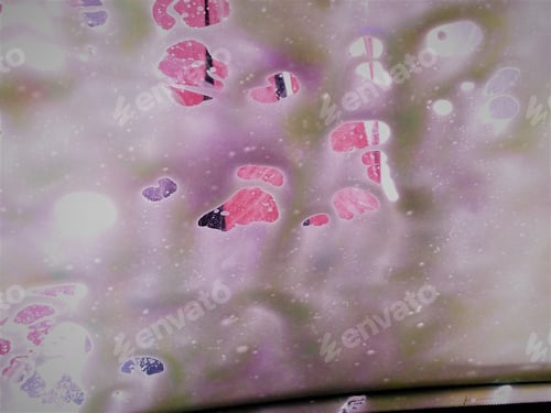 Preview: PINK! Soap Bubbles on the Car Window in the Car Wash!