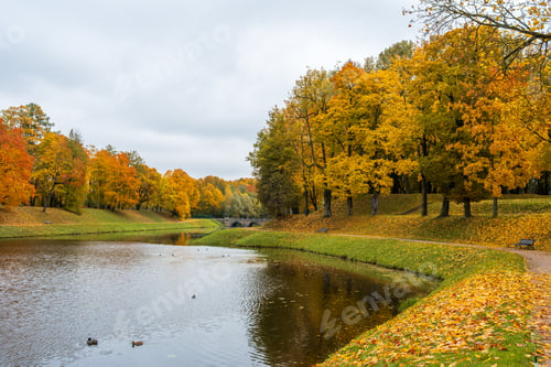 Preview: Beautiful autumn landscape. City park with a pond in autumn. Selective focus