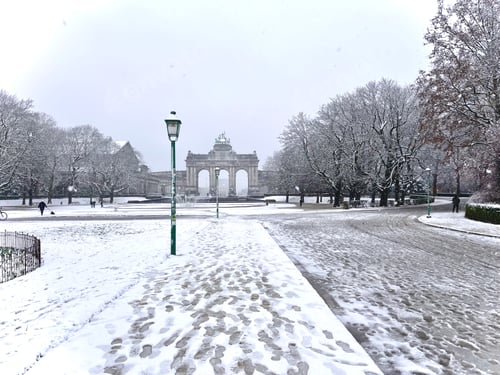 Preview: Park in snow