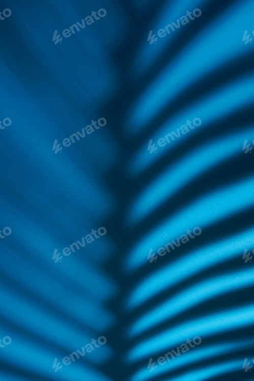 Preview: Beautiful fern leaves shadow colored background in artificial light