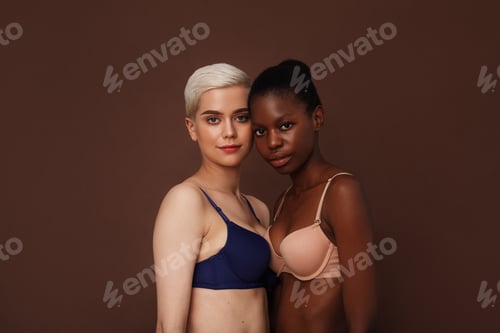 Preview: Young females wearing brassieres looking at camera .