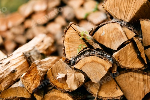 Preview: Rustic wood logs pile against lush green foliage in natural outdoor setting